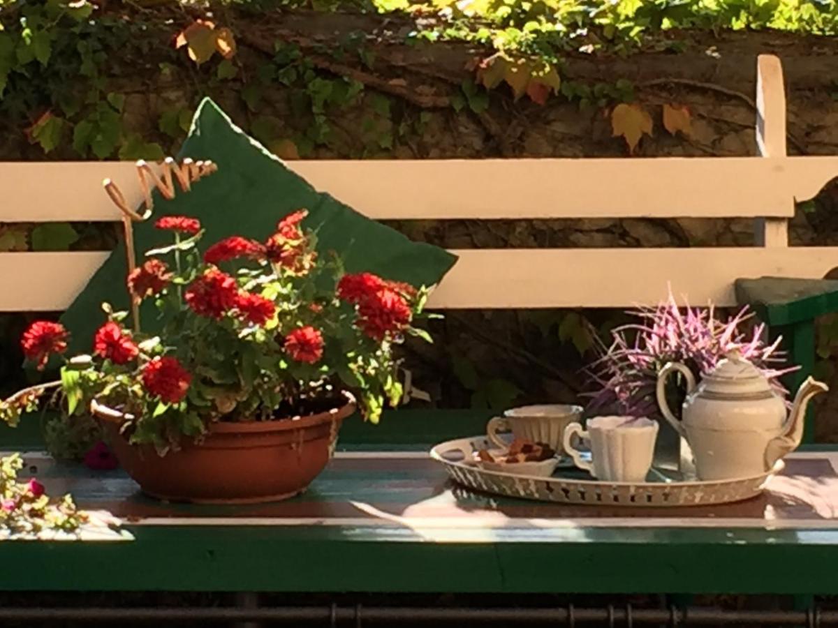Il Sole Del Sodo Guest House Cortona Exterior photo