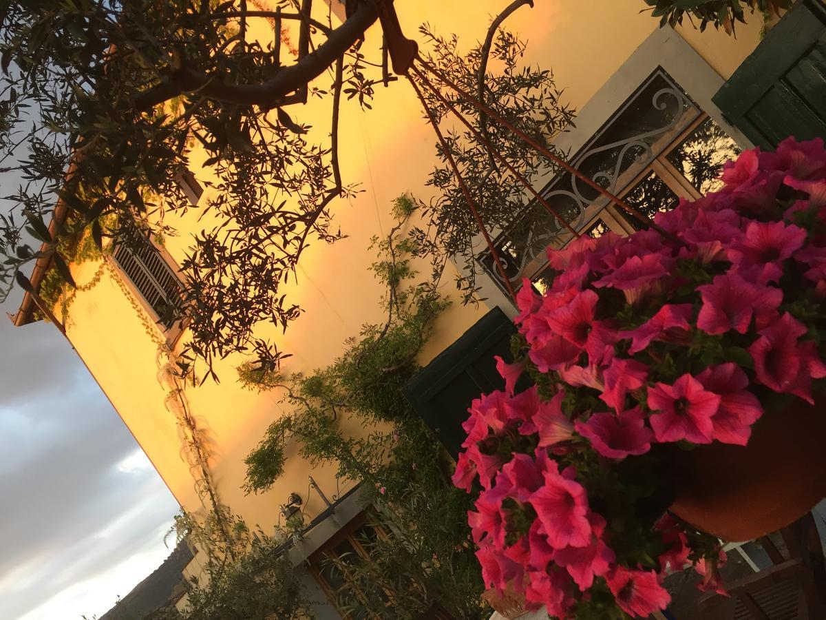 Il Sole Del Sodo Guest House Cortona Exterior photo